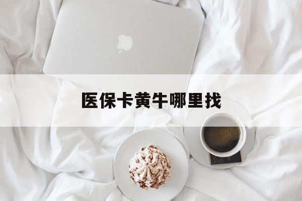 许昌最新医保卡黄牛哪里找方法分析(最方便真实的许昌医保卡的事情去哪里咨询方法)